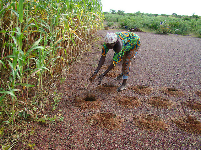 An effective strategy for CGIAR’s next ten years? Consultations on the SRF continue