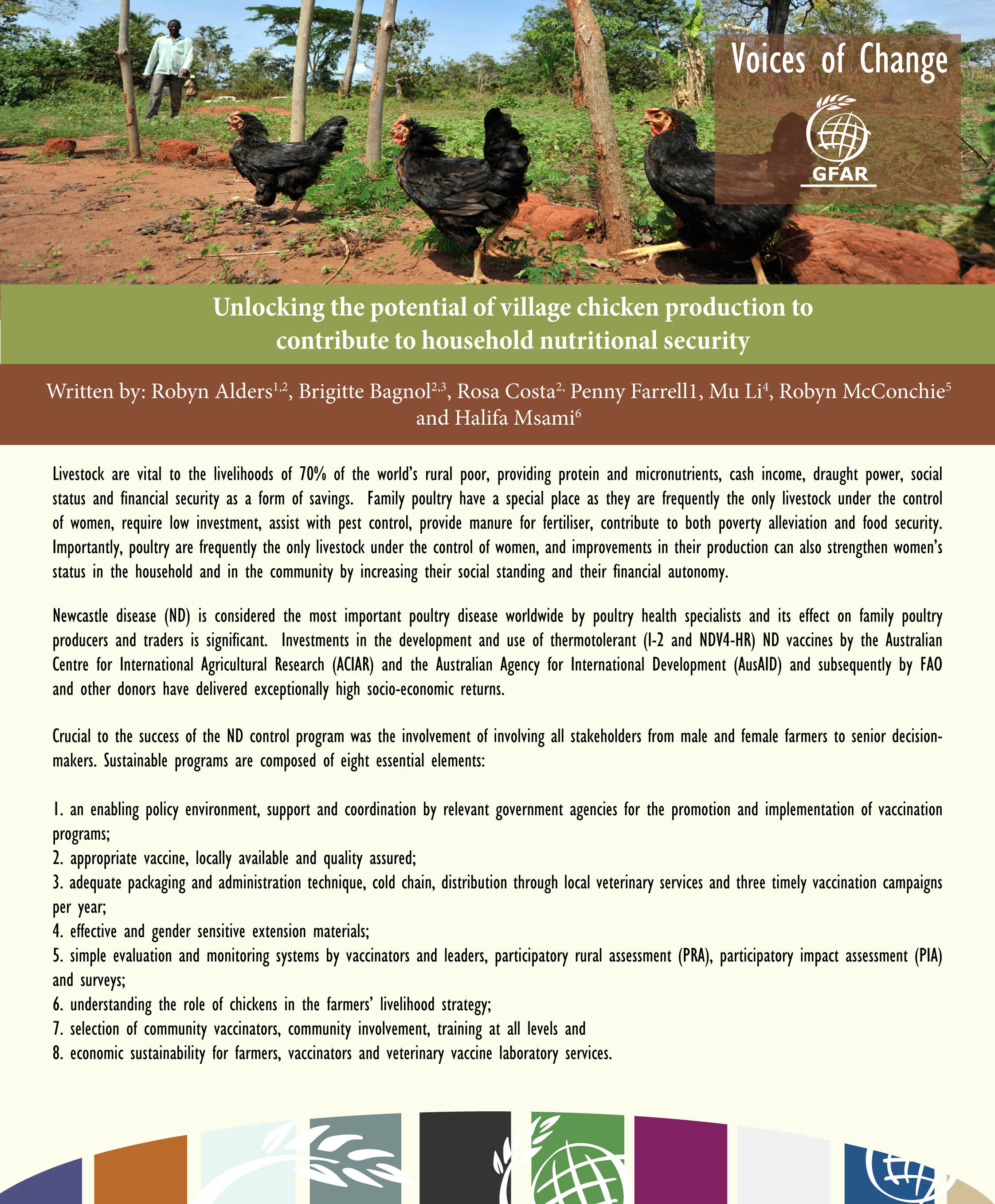 Unlocking the potential of village chicken production 