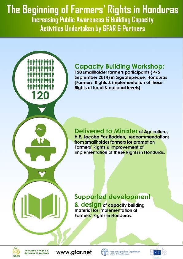 FR-Honduras-InfoGraphicGFAR+EC copia