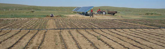 Agri-solar