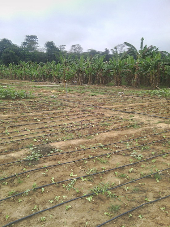 IMG_20160122_091009_1