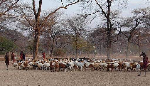 Pastoralists in degraded lands