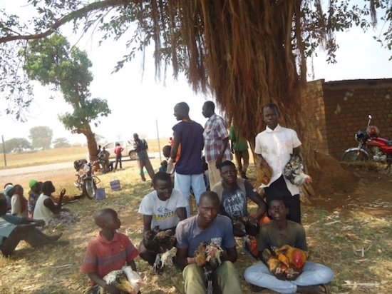 School Children with their chickens