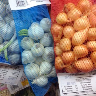 StaceydaneHutchinson2