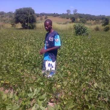 Wisdom Bwanali-Mchinji-Malawi