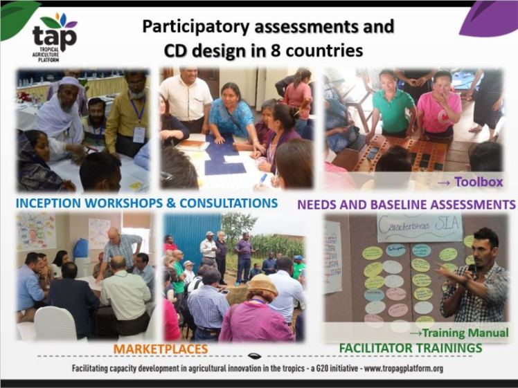 TAP webinar slide