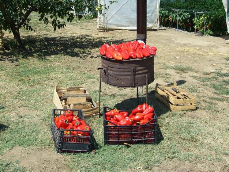 traditional stove (003)