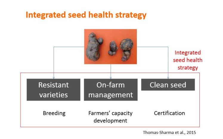 seed health