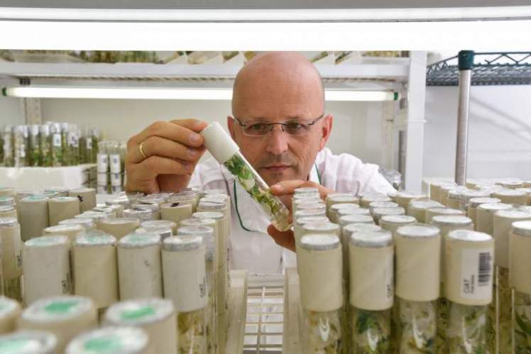 38191222265_596d6e3bb1_k__1513895027_79.17.4.47