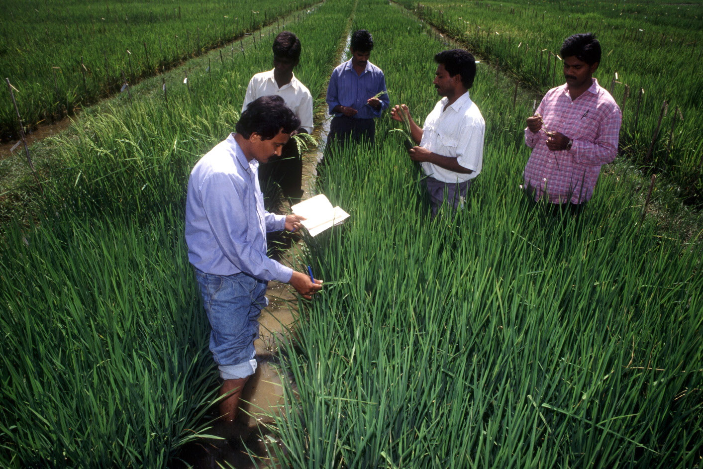 Open Access to Agricultural Knowledge for Inclusive Growth