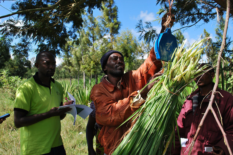 Facilitating participatory research: Scientists train farmers and extension offi