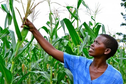 Funding Female Farmers for a Less Hungry World