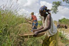 World Food Day: Innovation Must Support Family Farmers