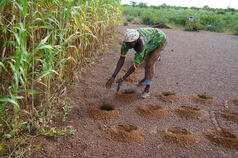 An effective strategy for CGIAR’s next ten years? Consultations on the SRF continue