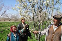 Collaboration for innovation: Rural Advisory Services in Central Asia and Southern Caucasus