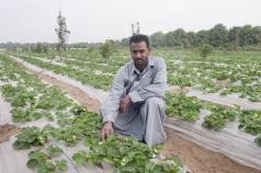 Dialogues on the Future for South &amp; North Mediterranean rural communities