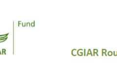 Update from the CGIAR Fund Office, September 2013