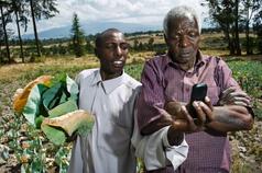 The new yuppies: how to build a new generation of tech-savvy farmers