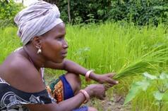 Five Ways to Make Agriculture Innovation Better Serve the Needs of Women Farmers