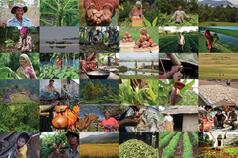 Our New Strategy: Redefining how CGIAR does business to 2030